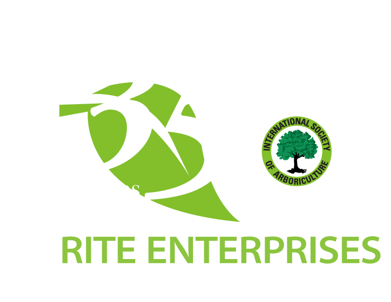 Rite Enterprises Logo